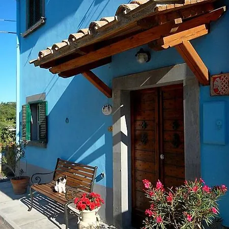 Green House - Blue House Civitella d'Agliano Room photo