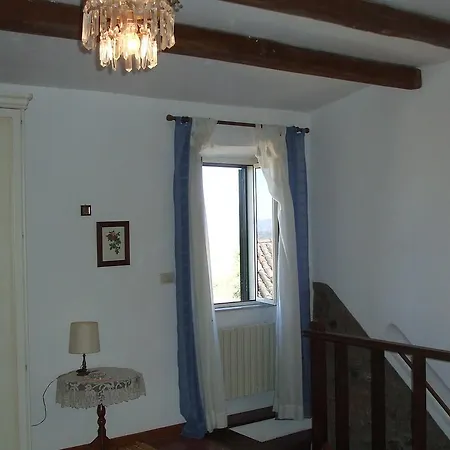 Green House - Blue House Civitella d'Agliano Room photo
